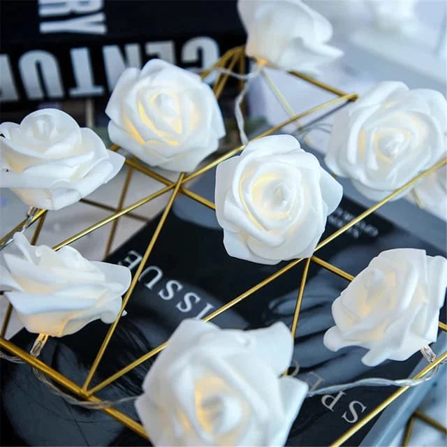 Warm White Rose Fairy Lights Decency