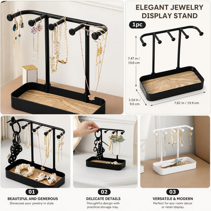 Jewelry Organizer & Display Stand